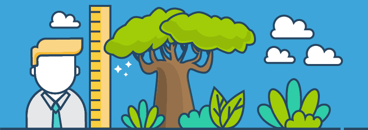 Mammutbaum mit Lineal